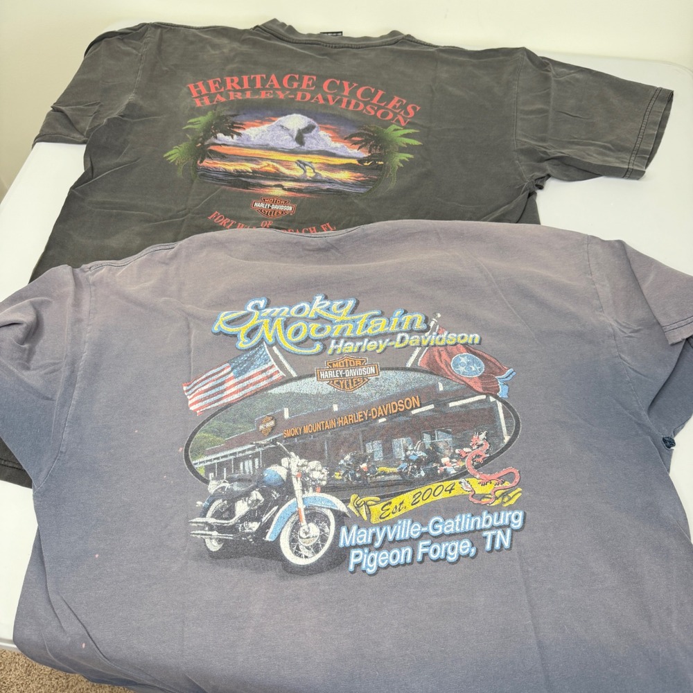 Lot of 2! Harley Davidson Vintage Graphic T-Shirt Bundle Gray Fair Mens XL